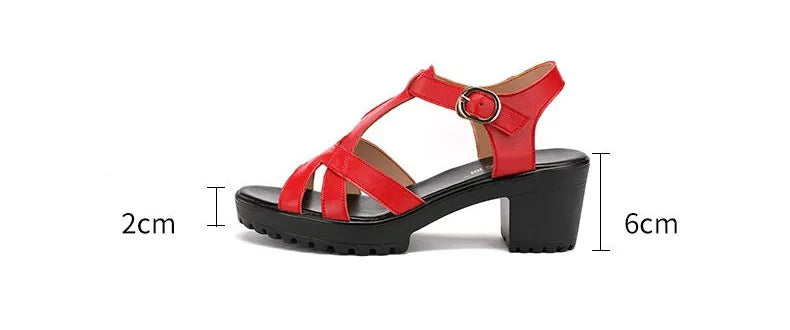 Sandales Gladiateur Femme Cuir Véritable Plateforme 2025 — Talon Bloc 6-10cm, Petite Taille 32-43