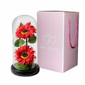 Rose Éternelle en Verre sous Cloche avec Lumière – Cadeau Fête des Mères